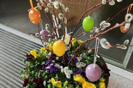 Gesundheitsresort Bad Mitterndorf: Der Frühling zieht ein