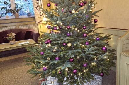 Prächtiger Christbaum im Gesundheitsresort Bad Mitterndorf